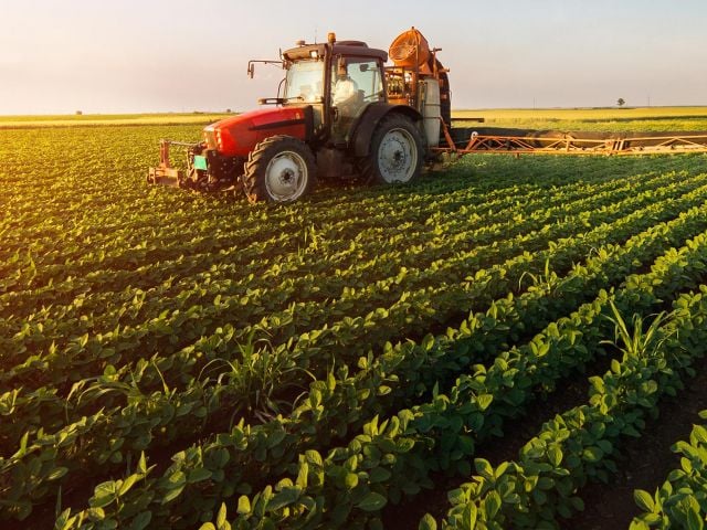 Farm